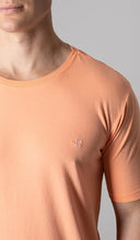 Carregar imagem no visualizador da galeria, T-Shirt Lisa Simples Com Bordado
